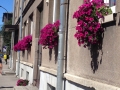 Suvised salongiaknad