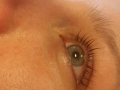 Lash lift 3