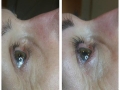 lash lift 2